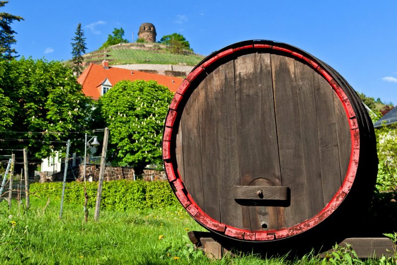 Das Weinanbauland NRW wird oft unterschätzt. Foto © Visions-AD stock adobe