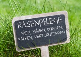 Schild Rasenpflege