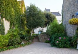 Innenhöf mit viel Grün