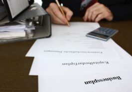 Business- und Kapitalbedarfsplan