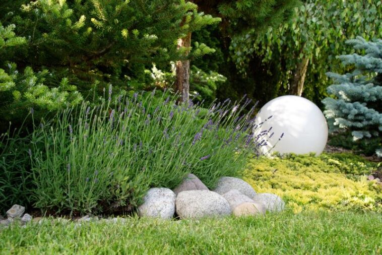 Hübscher Garten mit Heidekraut und Leuchtkugel